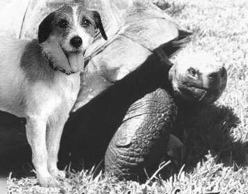 BFF.