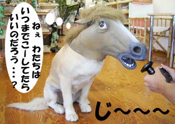 idea #1: put a horse mask on it